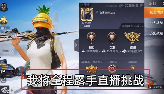 和平精英外挂《番茄》全网唯一独家裸奔内置防封的科技