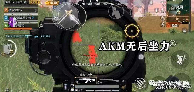 和平精英【EAD内部】辅助