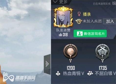 和平精英辅助【咪鸭容器直装】直播防录屏 漏打自瞄 人物透视 方框射线 人物距离 人物血条